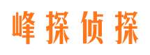 河源市场调查